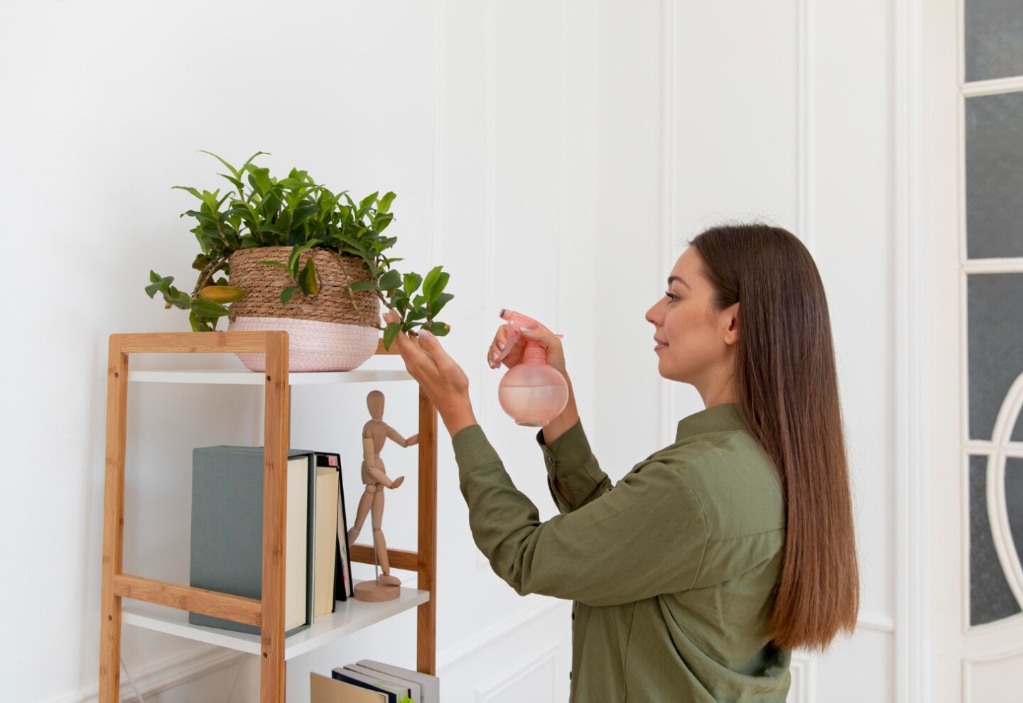 Rociar planta casa