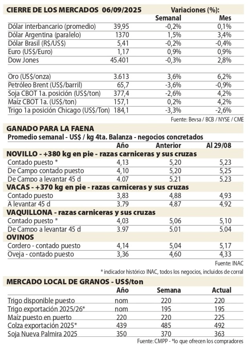 1 Cuadros NcL.jpg