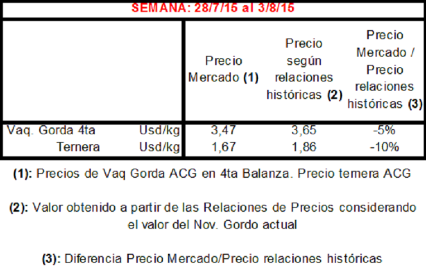 GRAFICO 6