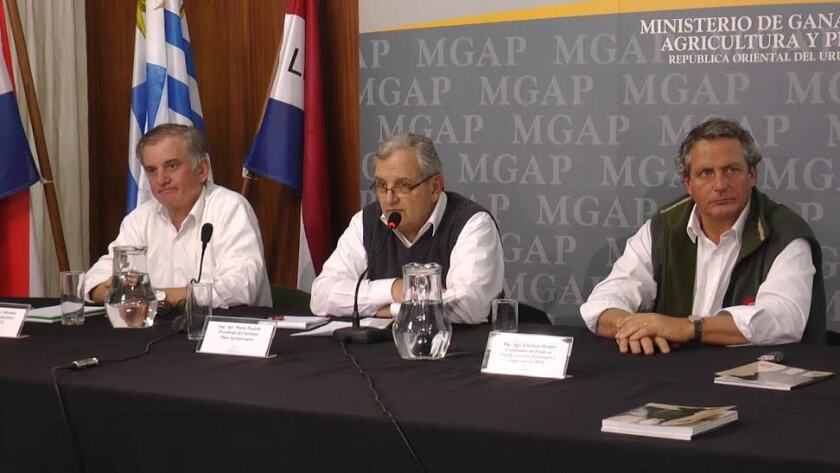 30c76d64-ea13-4cec-83df-313d4f2dcbb6