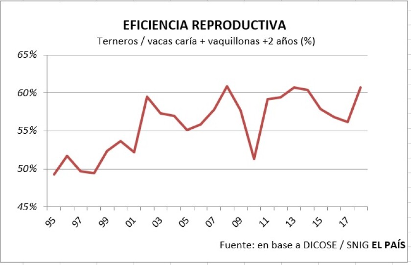 eficiencia-productiva.jpg