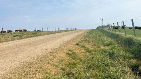 Campo ganadero con Angus y Hereford.