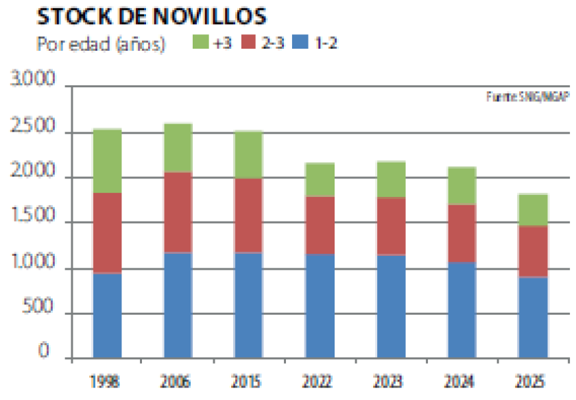 Stock de novillos.