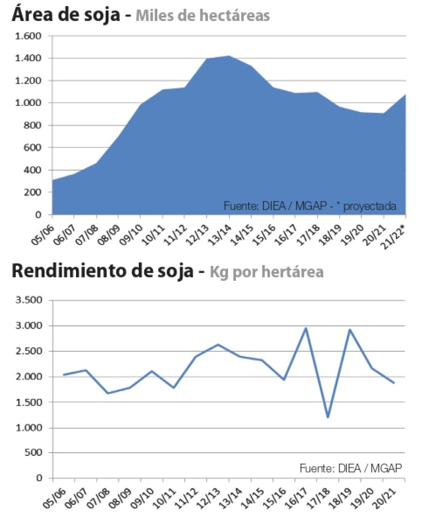 área de soja