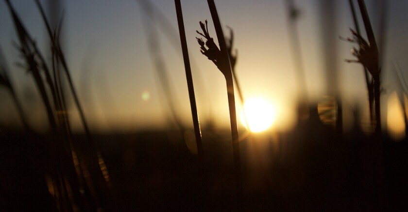 sunset-1149065_960_720