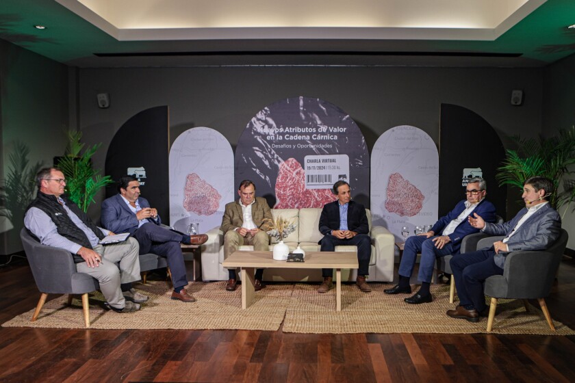 La charla virtual abordó los principales retos y perspectivas para agregar valor en la cadena cárnica, destacando tendencias y oportunidades clave para la ganadería.