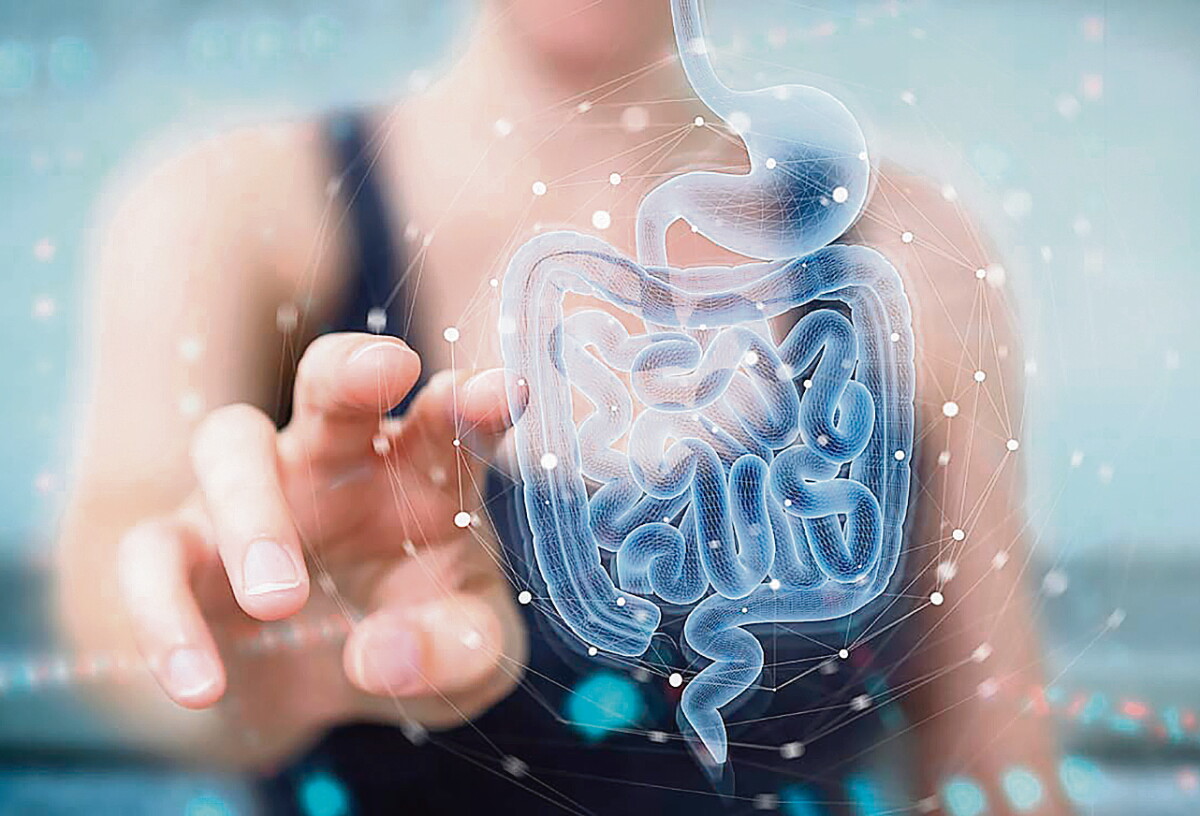 Alimentos fermentados: la clave para fortalecer la microbiota y el sistema inmunológico