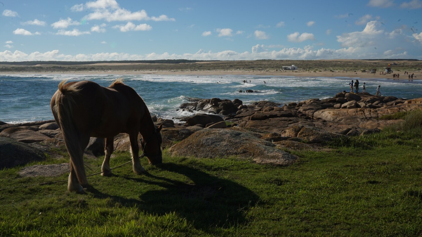 Cabalgatas