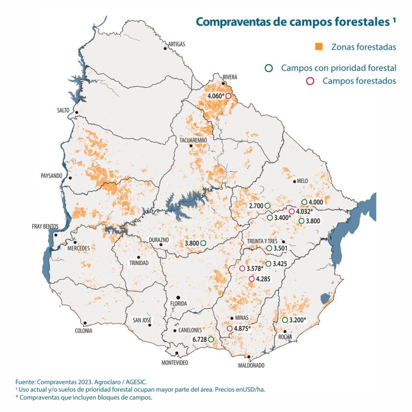Forestal.jpg