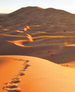 Desierto de Sahara