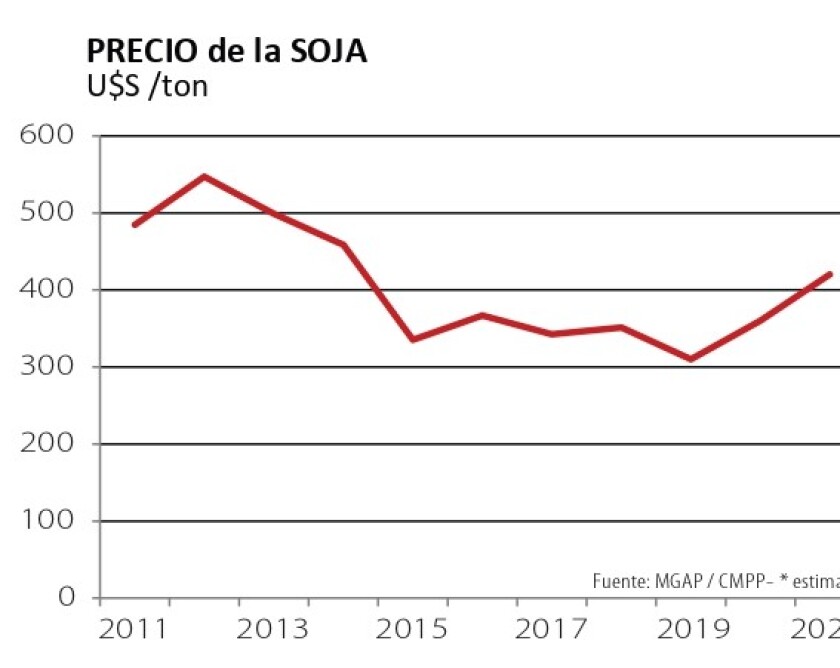 soja-1.jpg