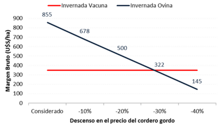 GRAFICO 3