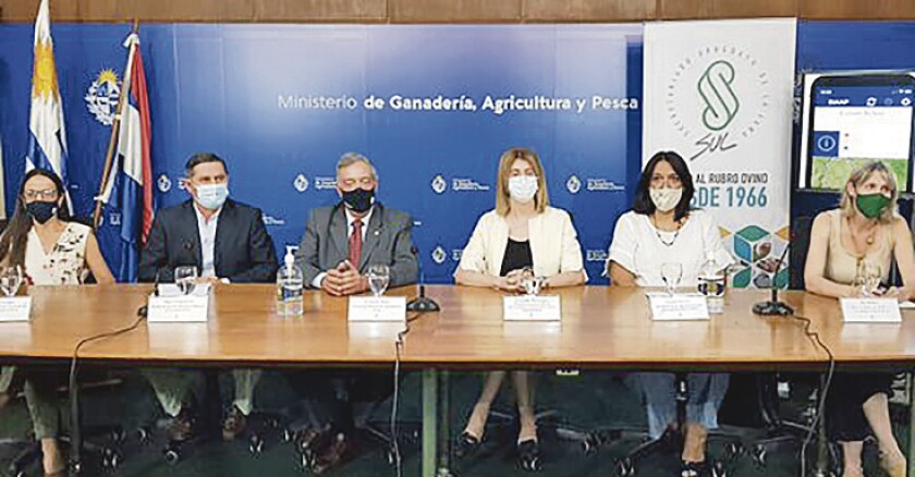 Imagen foto aplicacion SUL.jpg