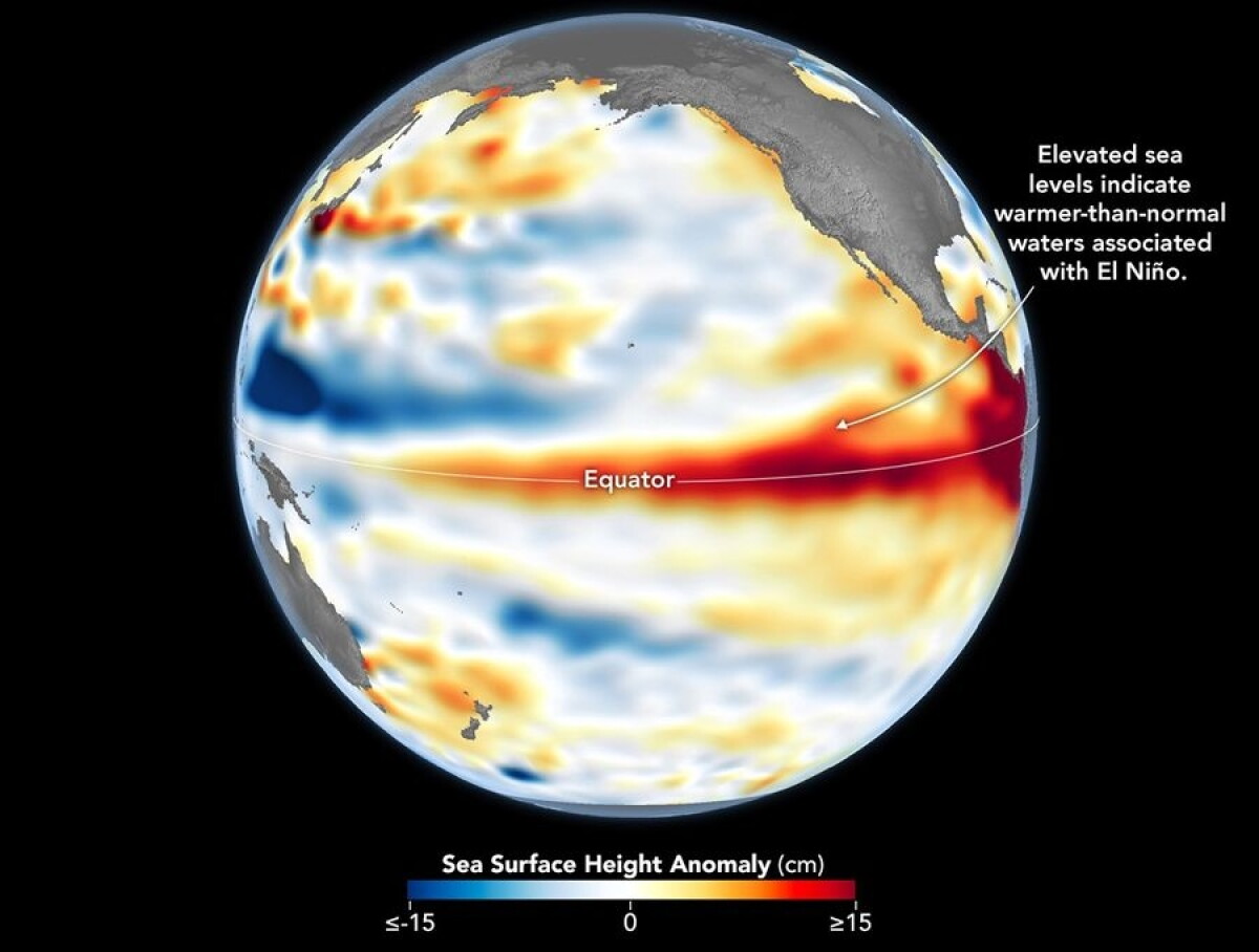 El Niño: Niveles del mar superiores a lo normal (en rojo) en el Pacífico central y oriental. Los datos para el mapa fueron obtenidos por el satélite Sentinel-6 Michael Freilich y procesados por científicos del Laboratorio de Propulsión a Chorro (JPL) de la NASA.