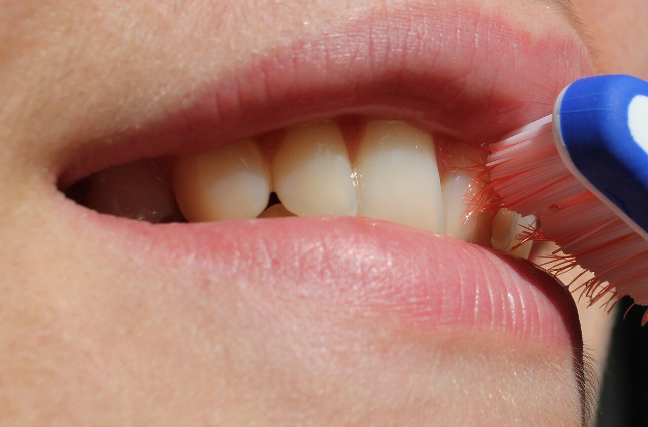 Cepillado de dientes.jpg