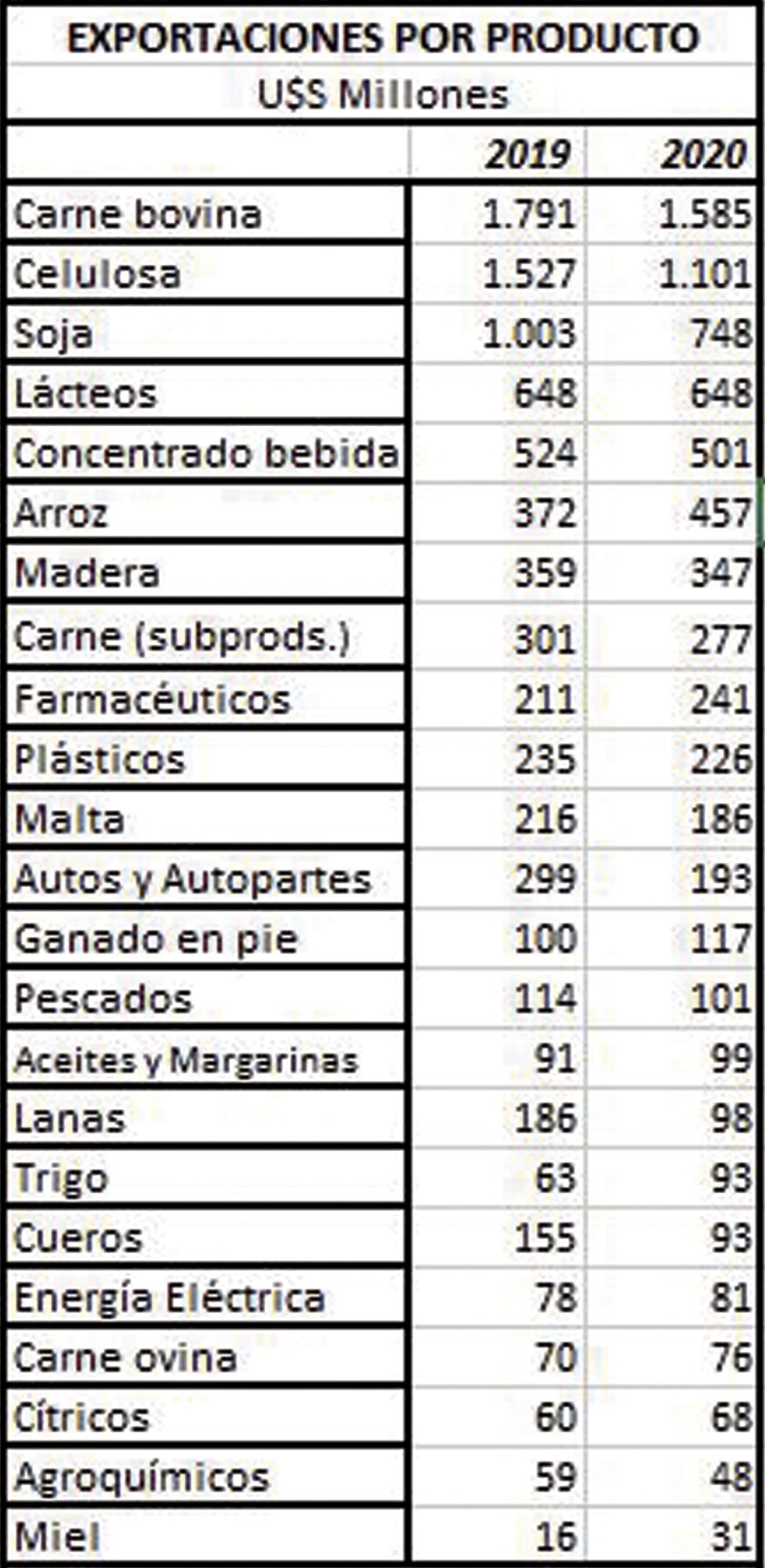 imagen-02.jpg