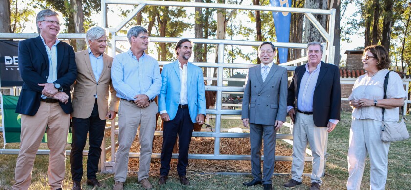 Los Bordaberry.jpg