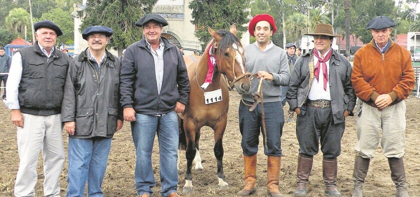 imagen-gran-campeona.jpg