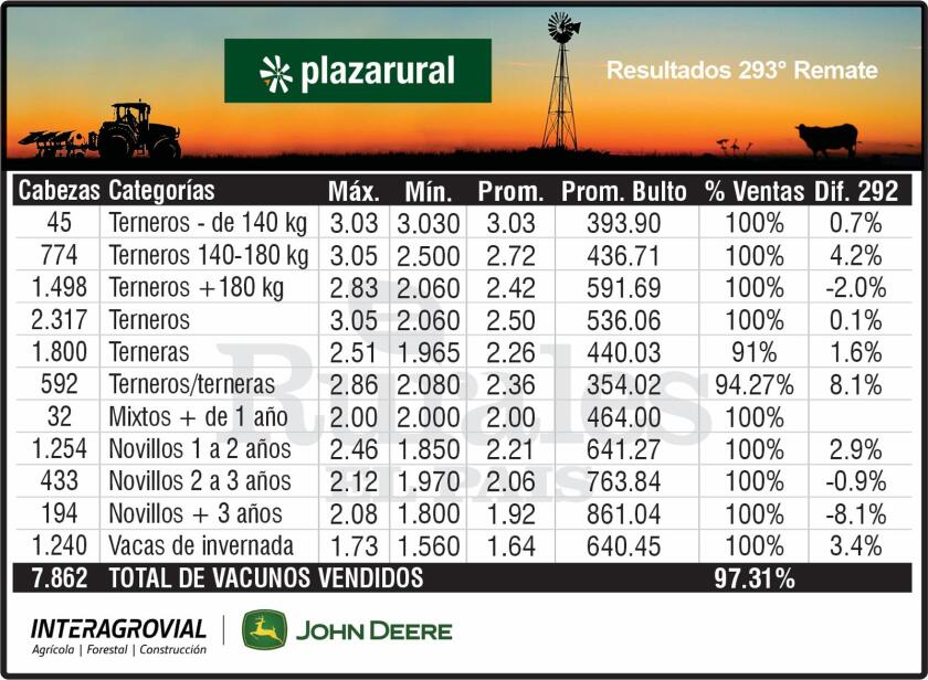 Plaza Rural 293° remate
