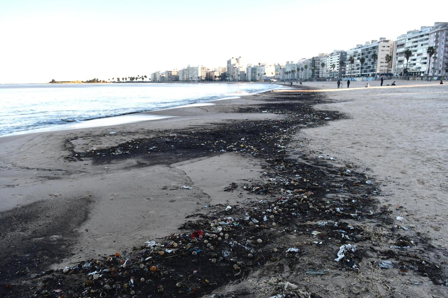 Mugre en playa Pocitos
