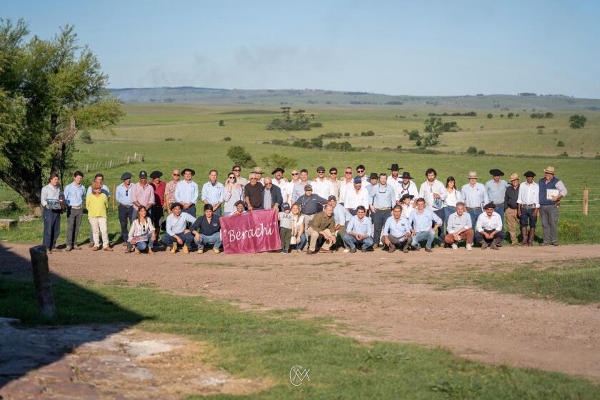 Foto remate Berachí 2.jpeg