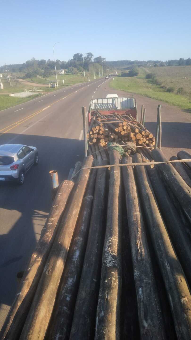 Cigarrillos incautados
