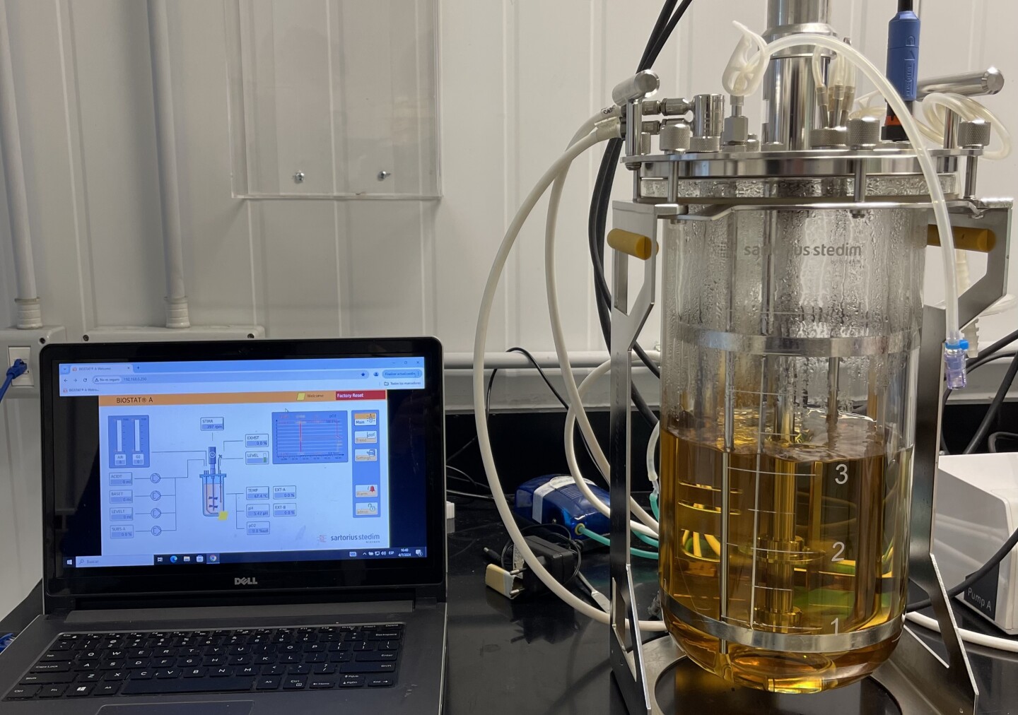 Laboratorio CBII