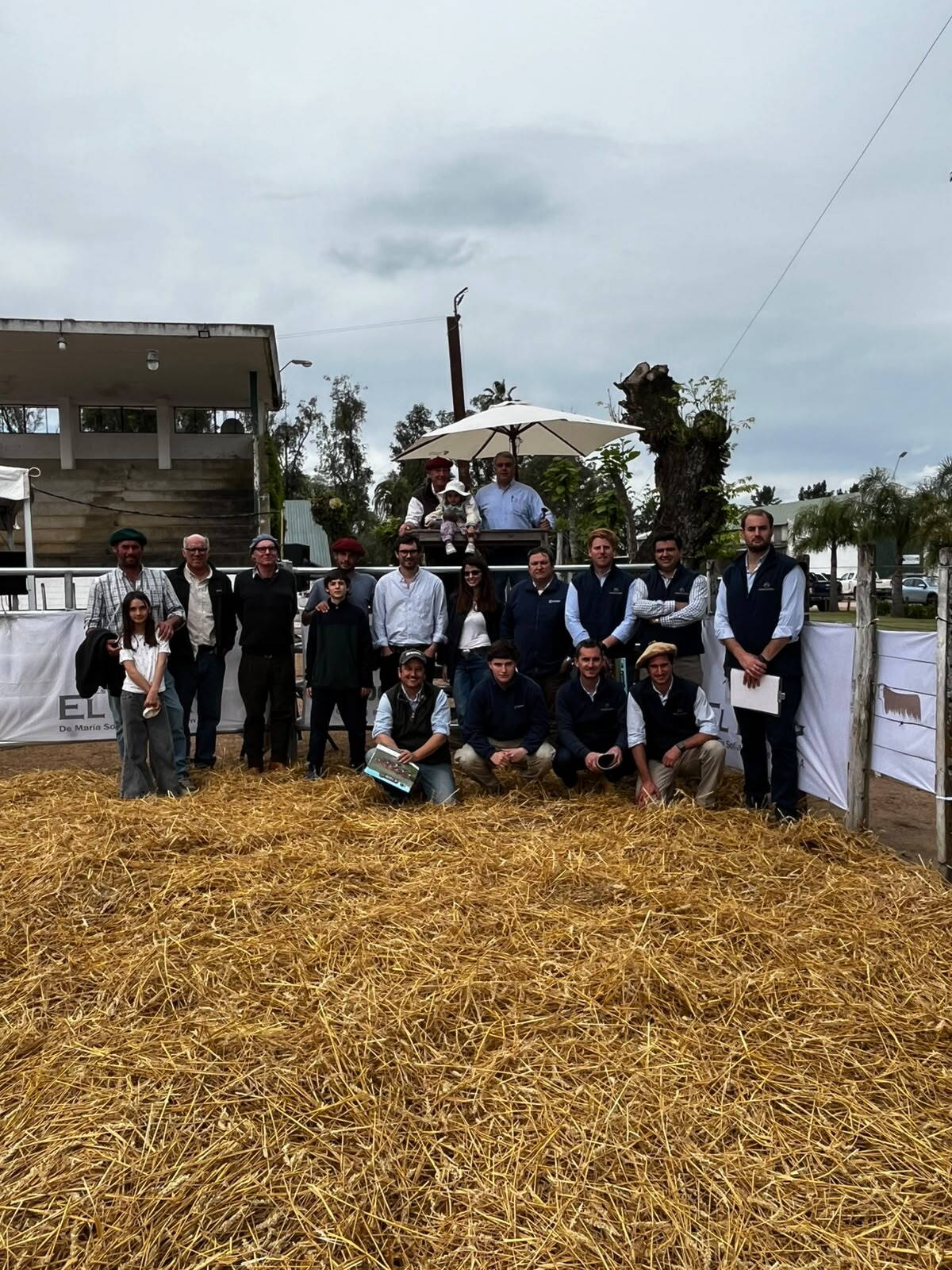 Polled Hereford de El Yatay se vendió a US$ 3.712 de promedio