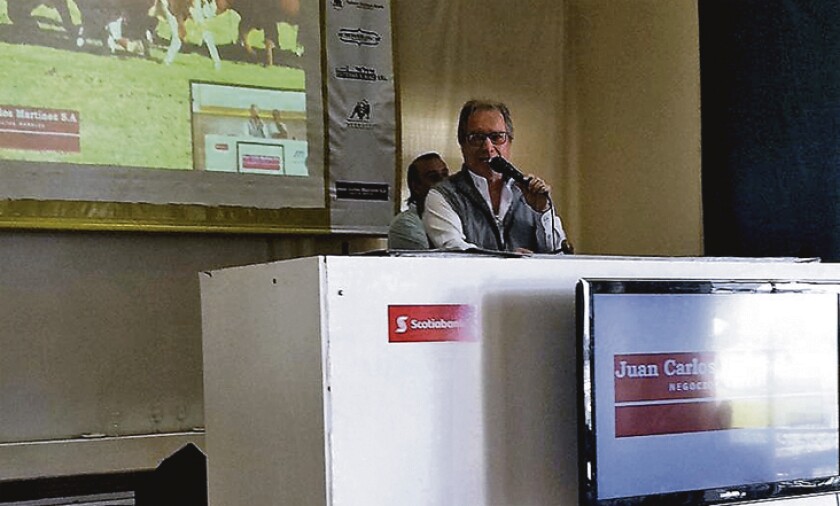 lote-21.jpg