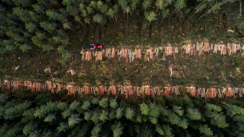 El consumo de la UE es la causa de alrededor del 10% de la deforestación global