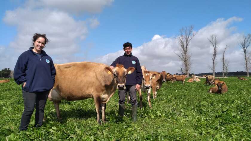 Campo Longley Jersey