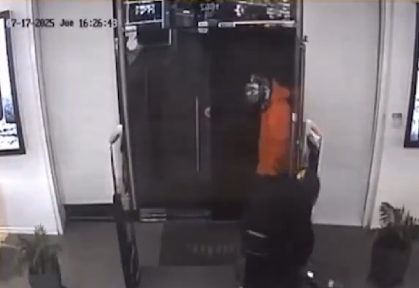 Robo piraña