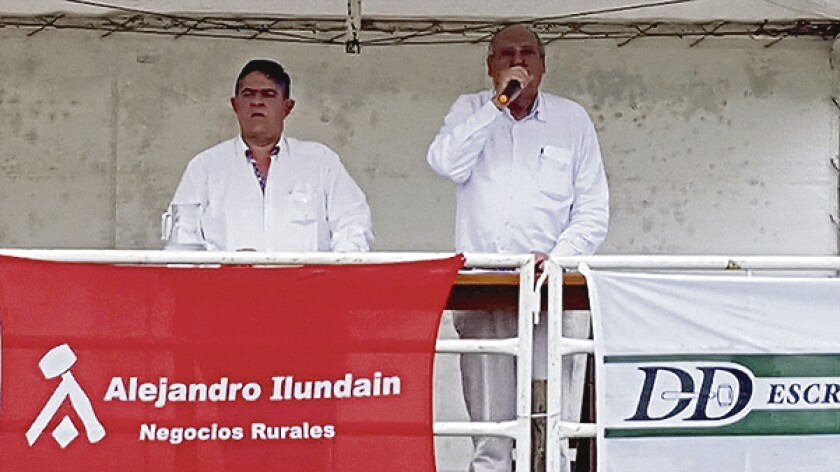 imagen-20161012-154925.jpg