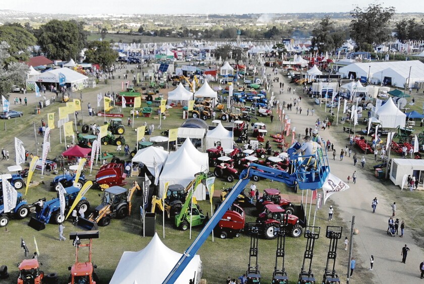 expo-melilla.jpg