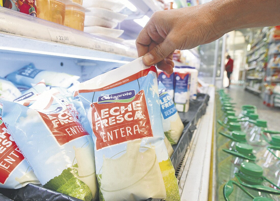 Distribuidora local apuesta por reflotar Calcar y ve futuro lácteo 8 Leche Conaprole