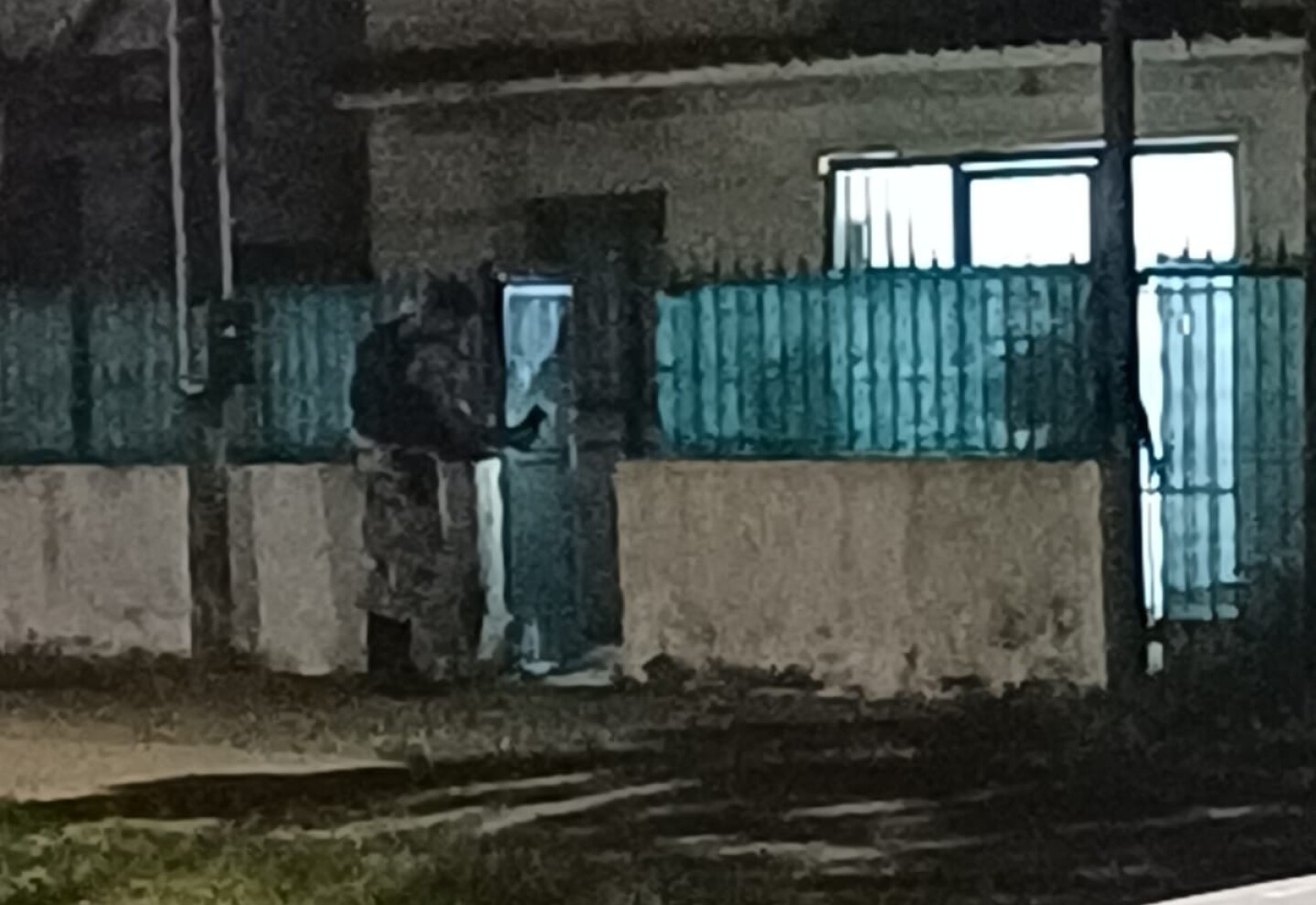 Policía investiga una balacera en una vivienda de Salto.