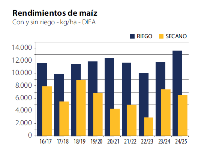 Rendimiento de maíz.
