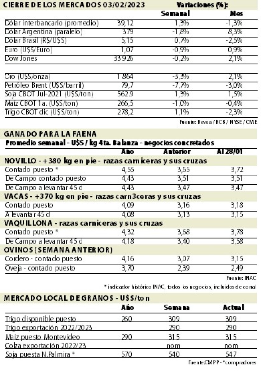 mercados.jpg