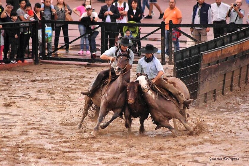 pacifica-pretenciosa-con-matias-horta-y-colibri-chamarra-con-juan-peirano-ganando-en-la-final-de-palermo.jpg