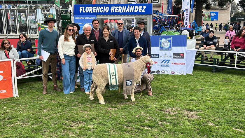 Gran Campeón Macho PO fue para cabaña La Fernandina.jpeg