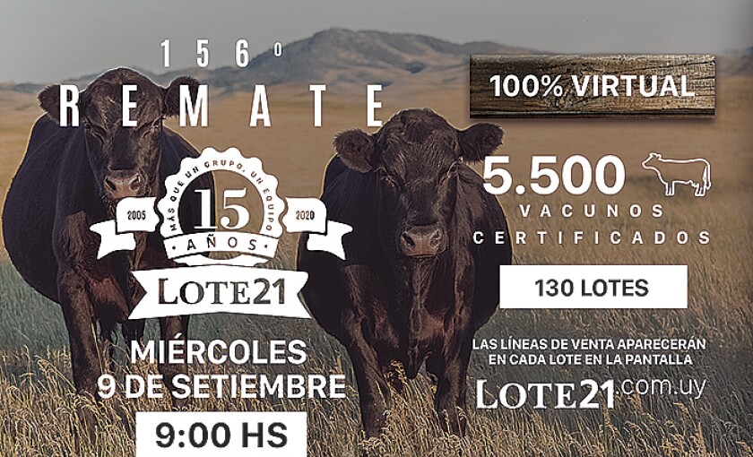 imagen-5x6-lote-21.jpg