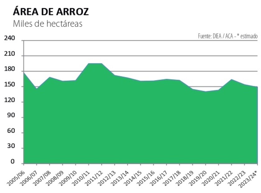 3 Área de arroz.jpg