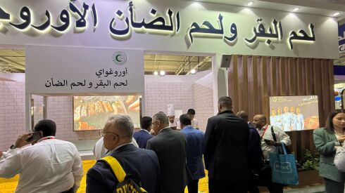 INAC en Arabia Saudita