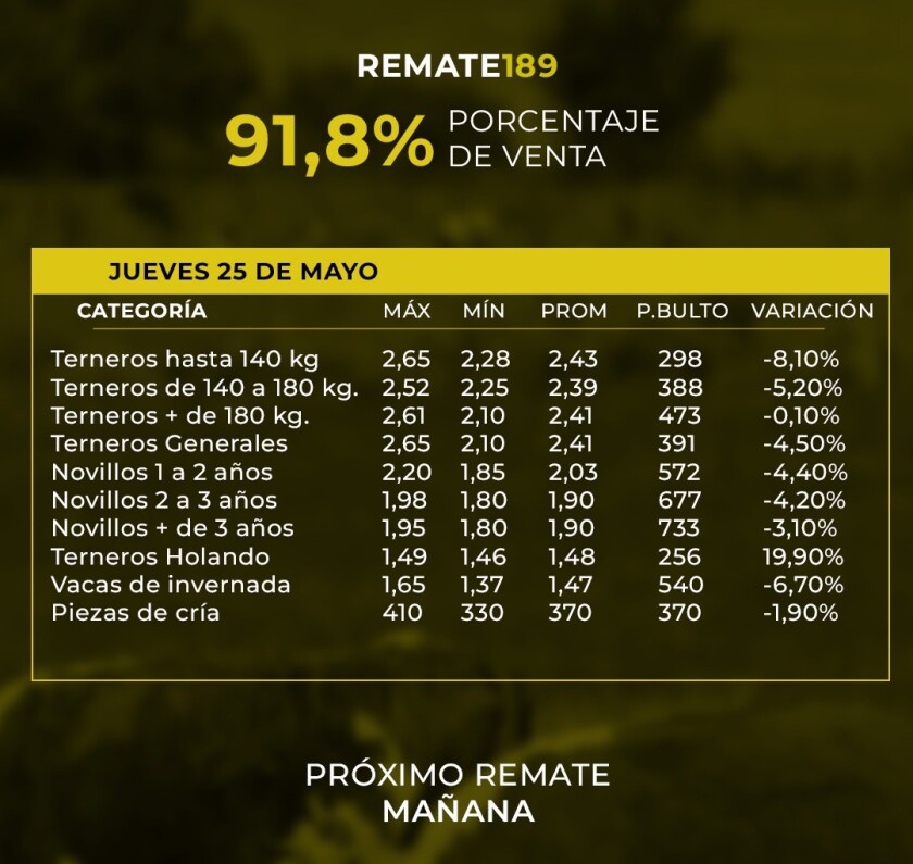 Promedios Lote 21