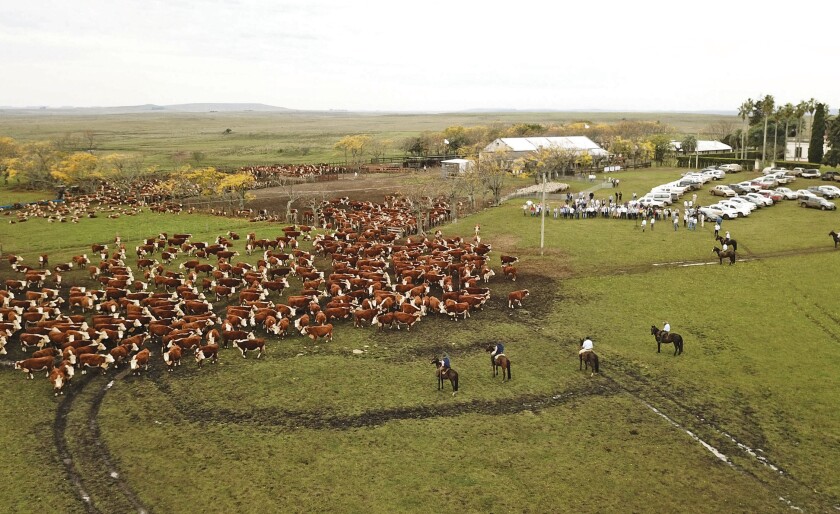 imagen-dji-0016.jpg