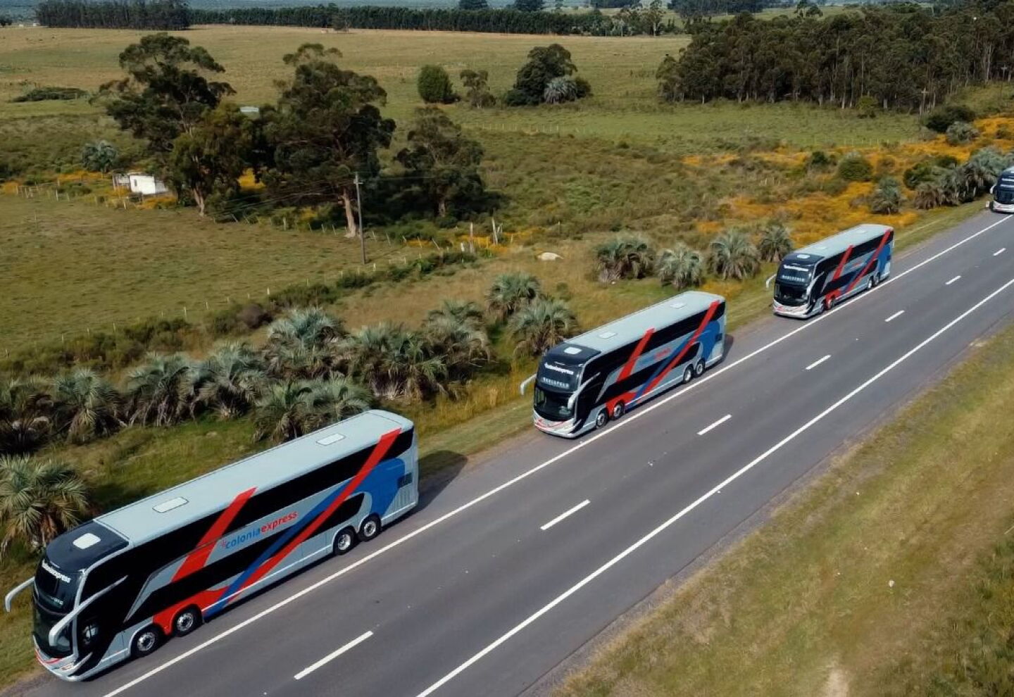 Colonia Express Colonia Express, la empresa de transporte fluvial, compró la compañía ...