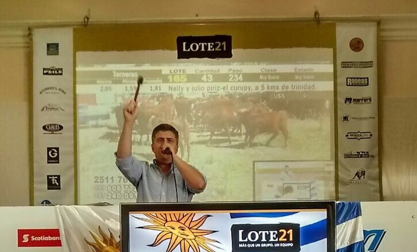 foto-lote-21.jpg