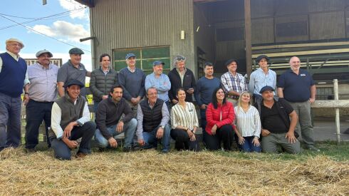 Remate Los Todoterreno.jpeg