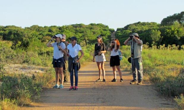 Ecoturismo