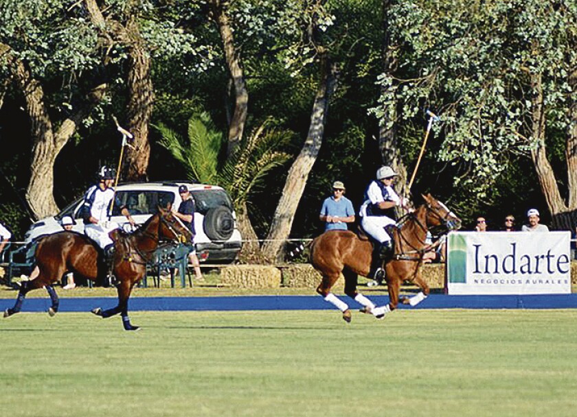 imagen-polo.jpg